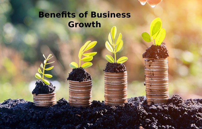 Benefits of Business Growth