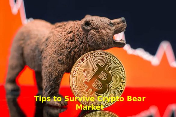 Crypto Bear Market