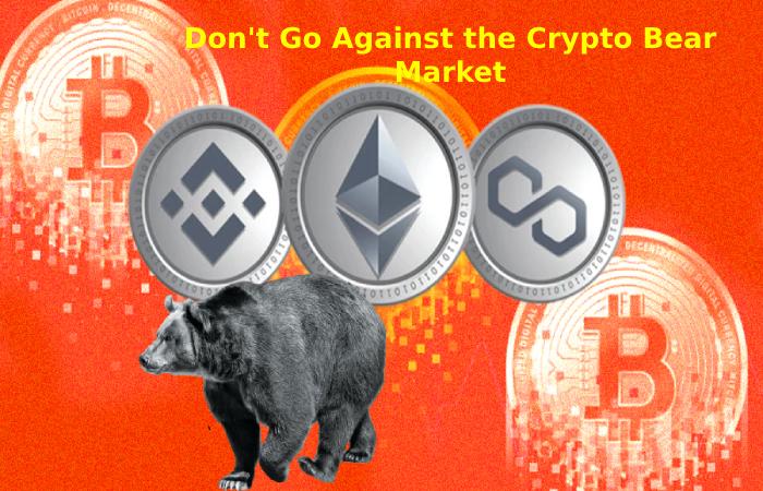Don't Go Against the Crypto Bear Market