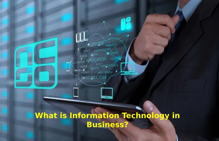 Information Technology in Business