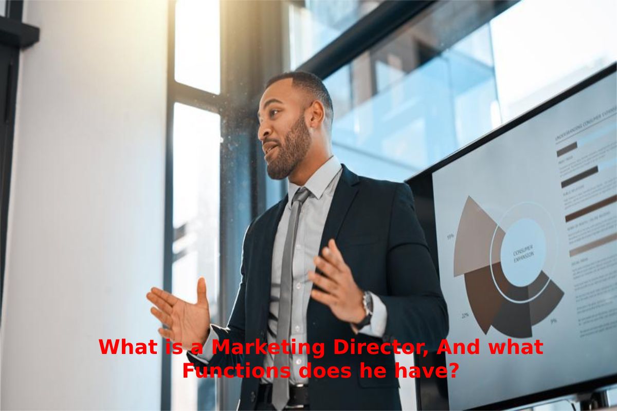 What Is A Marketing Director And What Functions Does He Have 