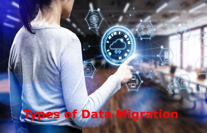 Types of Data Migration