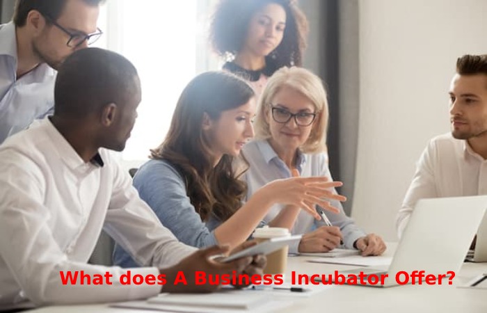 What does A Business Incubator Offer_