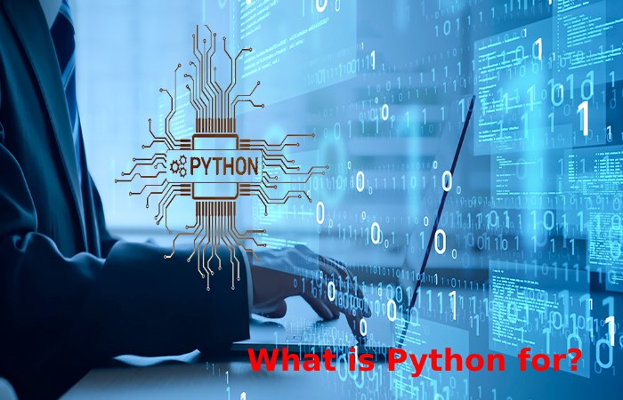 What is Python for_