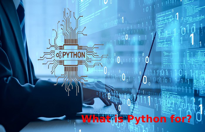 What is Python for_