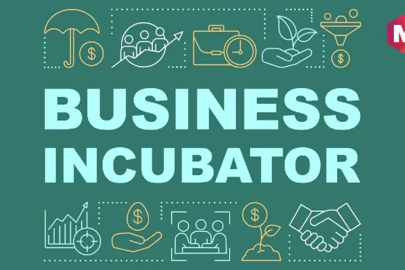 What is a Business Incubator_