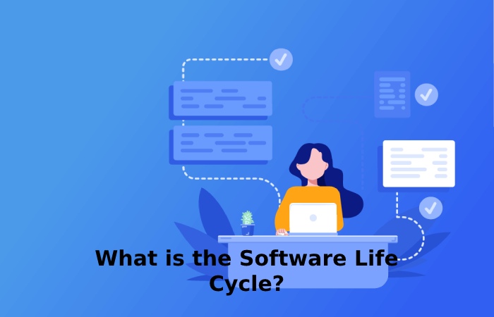 What is the Software Life Cycle