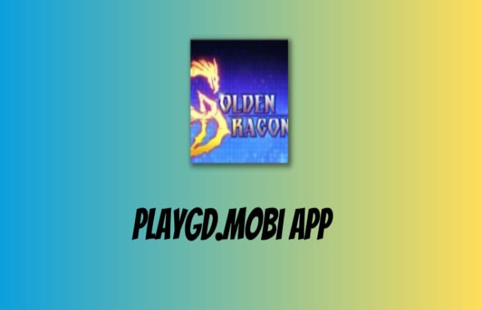 What is Playgd.mobi APP_
