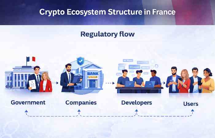 crypto ecosystem structure